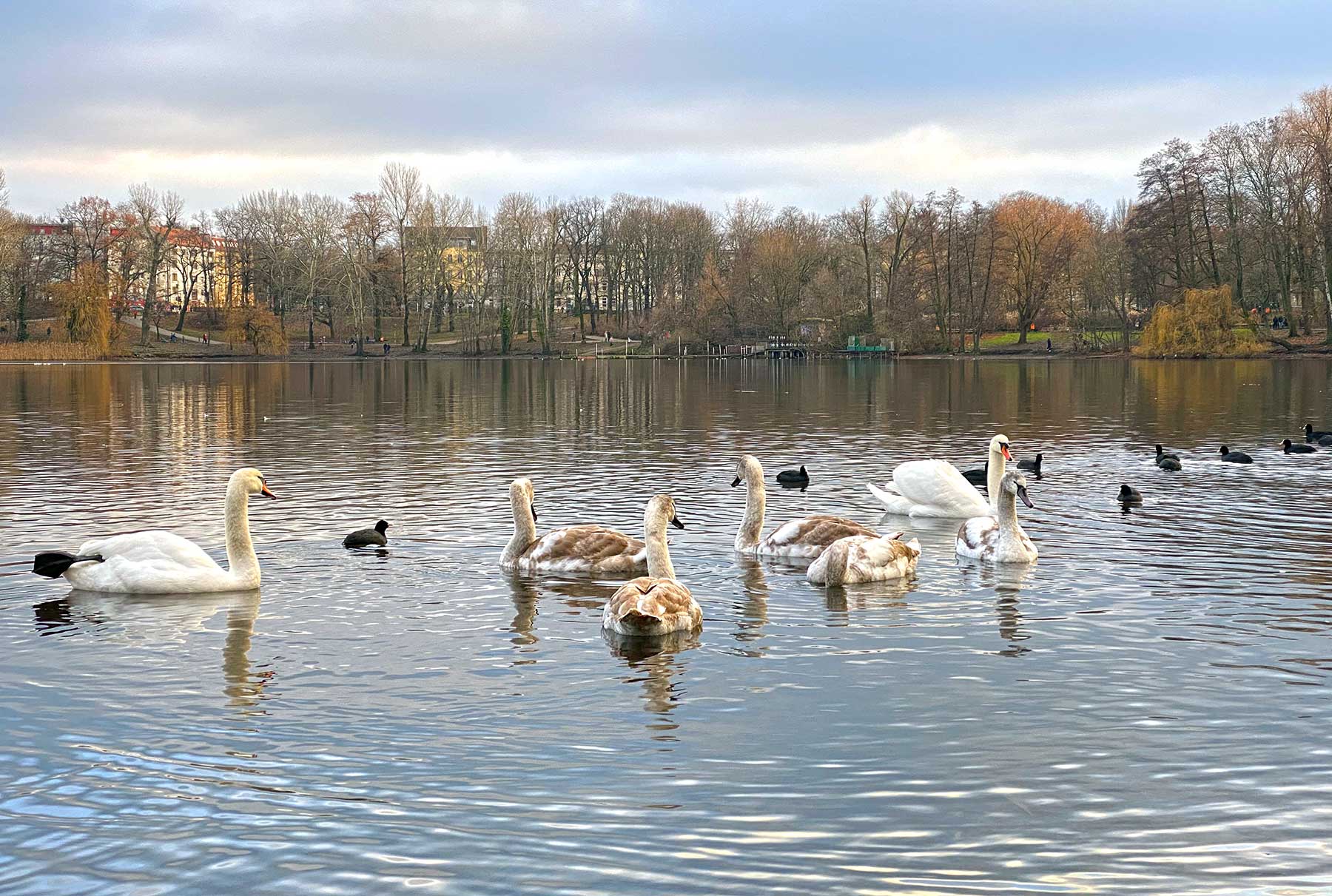 Meine Woche (272) Meine-Woche-272_01 