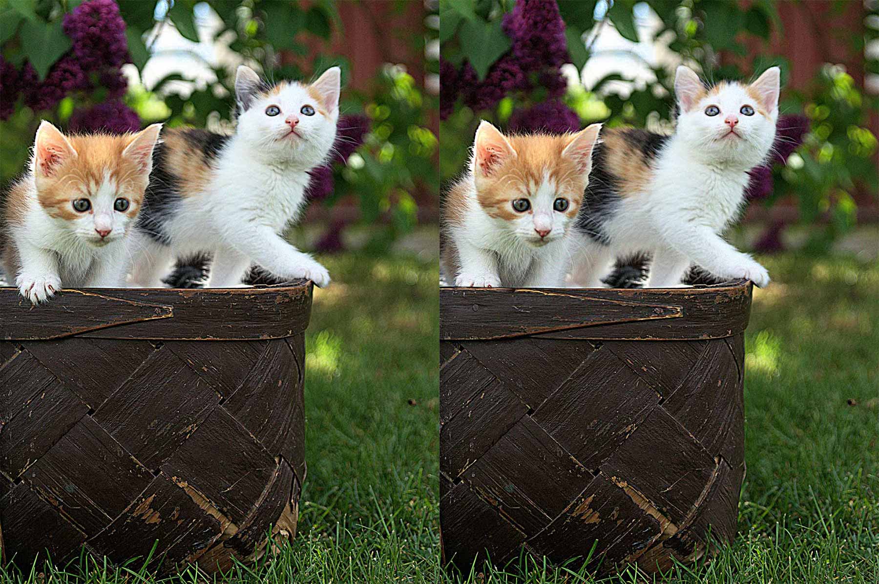 FehlerFindFreitag Nr. 59