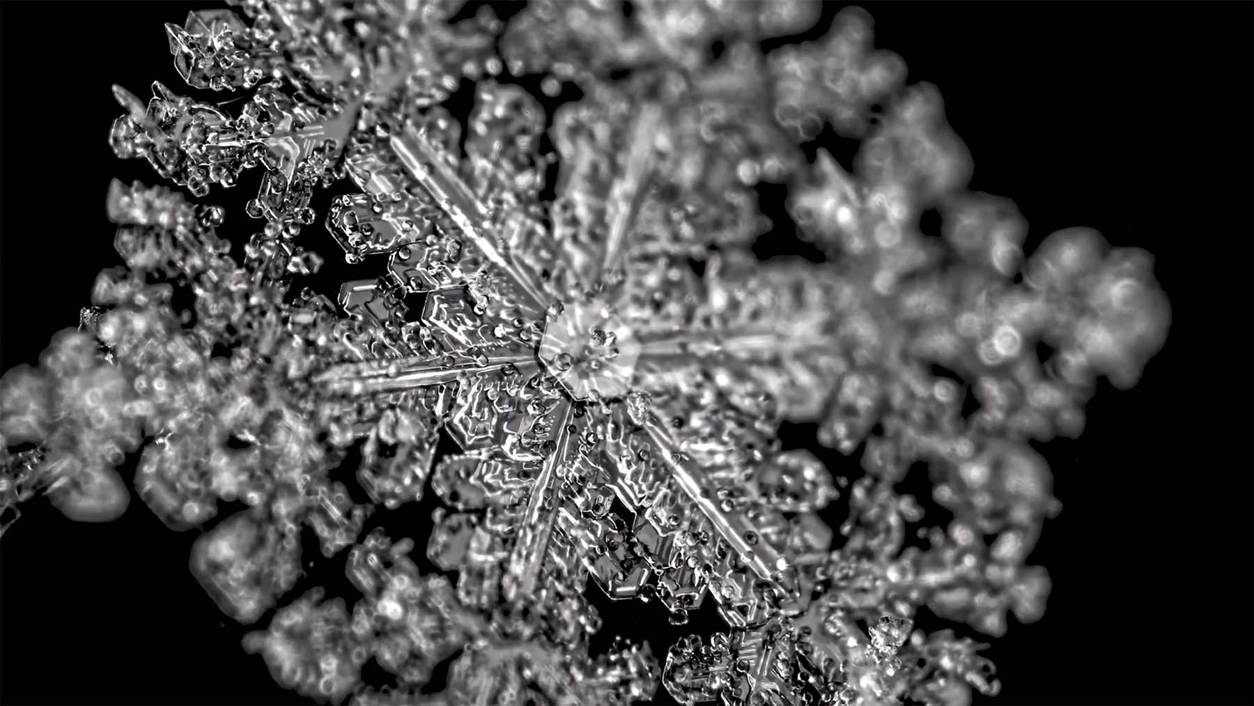 Nahaufnahme einer rückwärts schmelzenden Schneeflocke Melting-Snowflakes-in-Reverse 