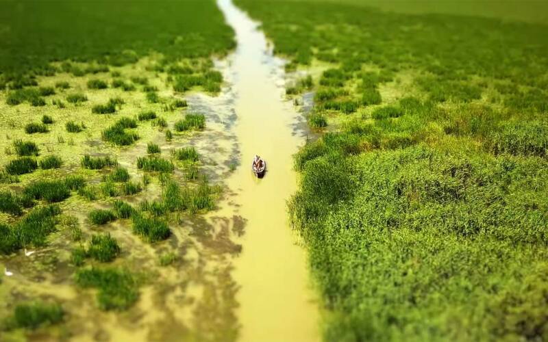 Tilt-Shift: „Danube Delta Romania“