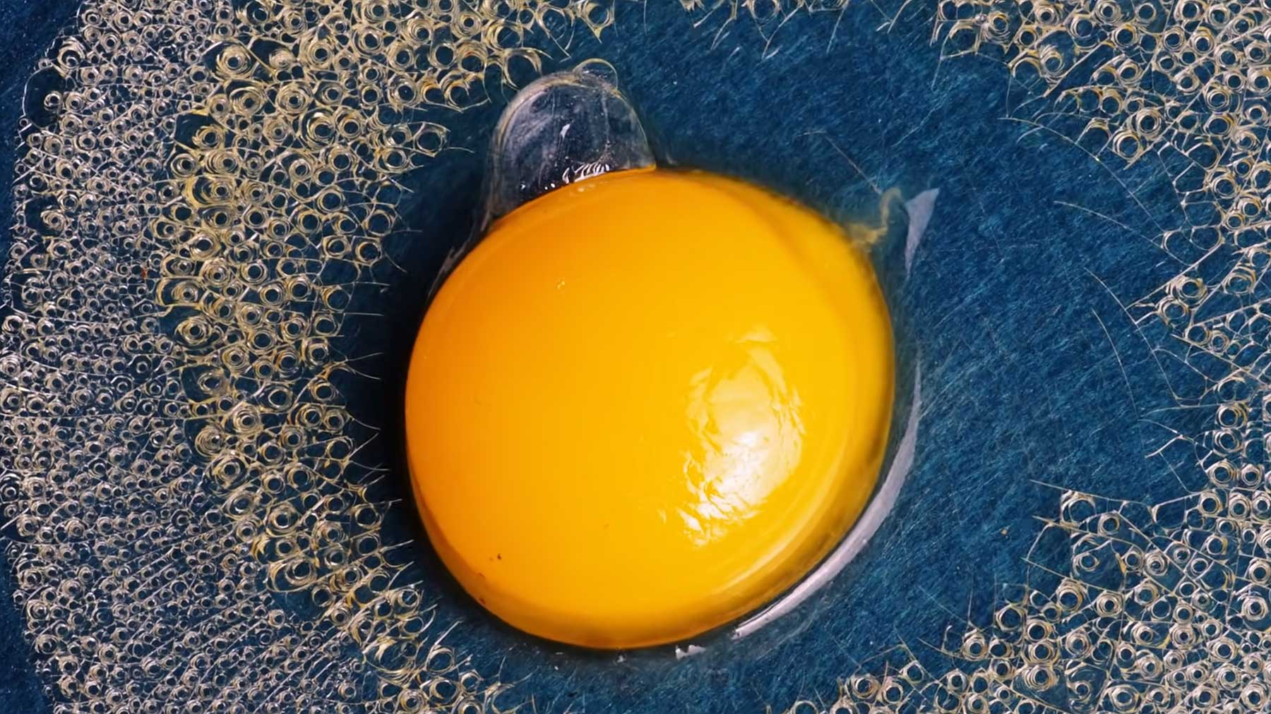 Makro-Timelapse: Ein rohes Ei 10 Tage liegen lassen