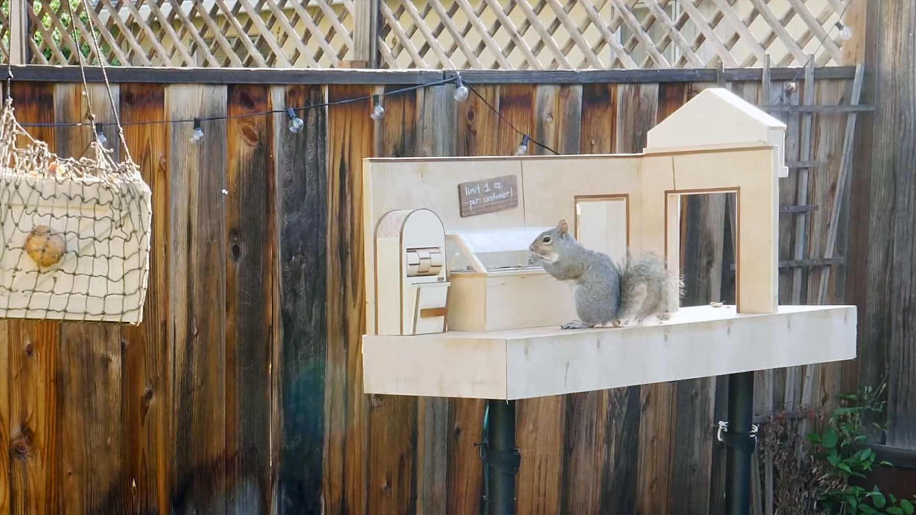 Mark Rober hat einen neuen Eichhörnchen-Parcours im Garten aufgebaut Eichhoernchen-hindernis-parcours-im-garten-2 