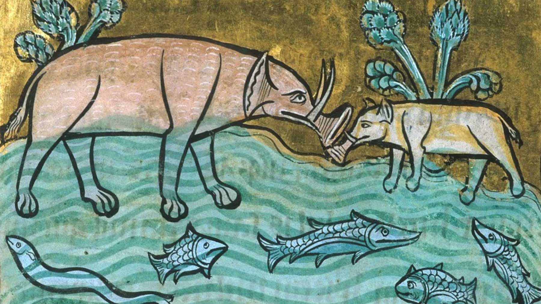 So wunderbar daneben lagen Tierdarstellungen im Mittelalter mittelalter-tierzeichnungen 