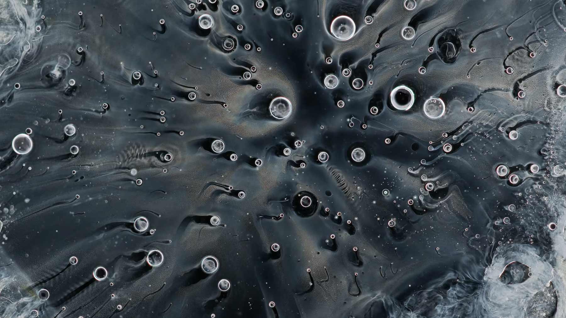 Flüssigkeiten unterm Mikroskop: "Halo" extrem-nahaufnahmen-film-halo 