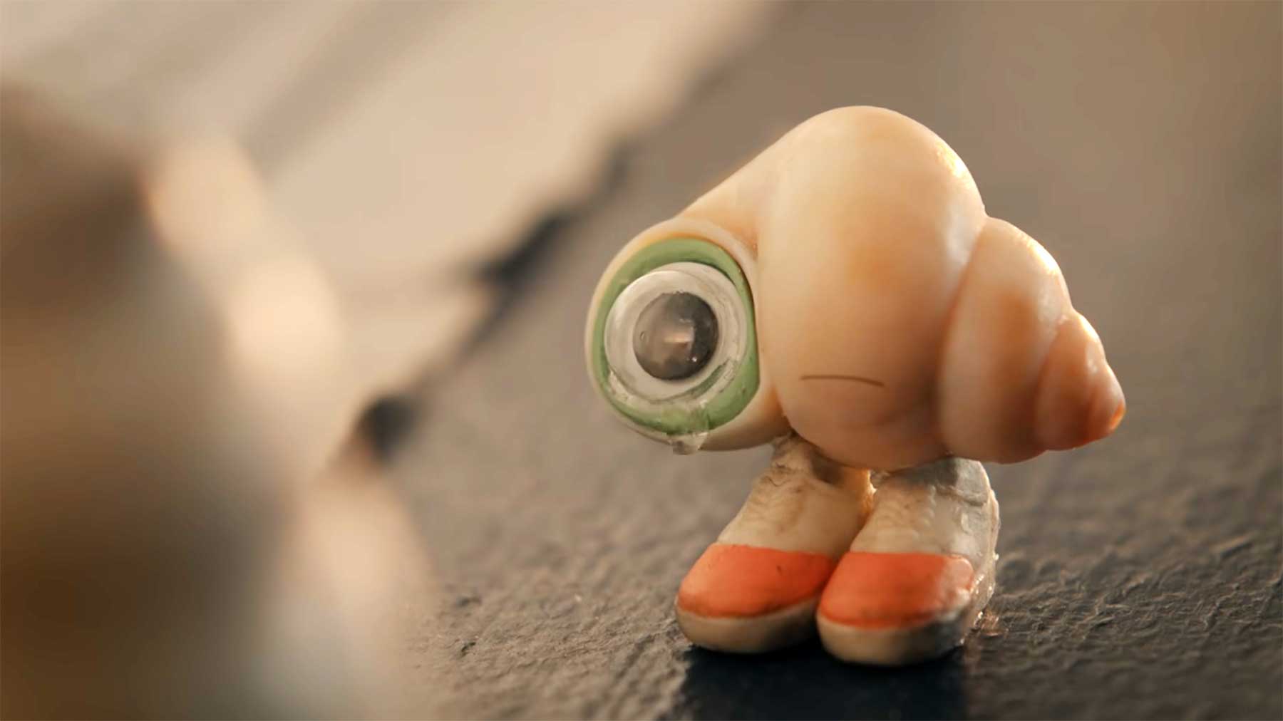 „Marcel The Shell With Shoes On“ wird zum Kinofilm