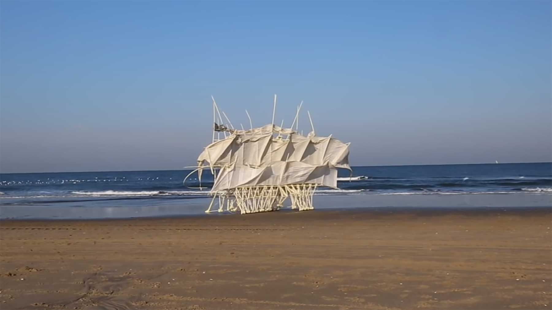 Die Strandbeests von Theo Jansen