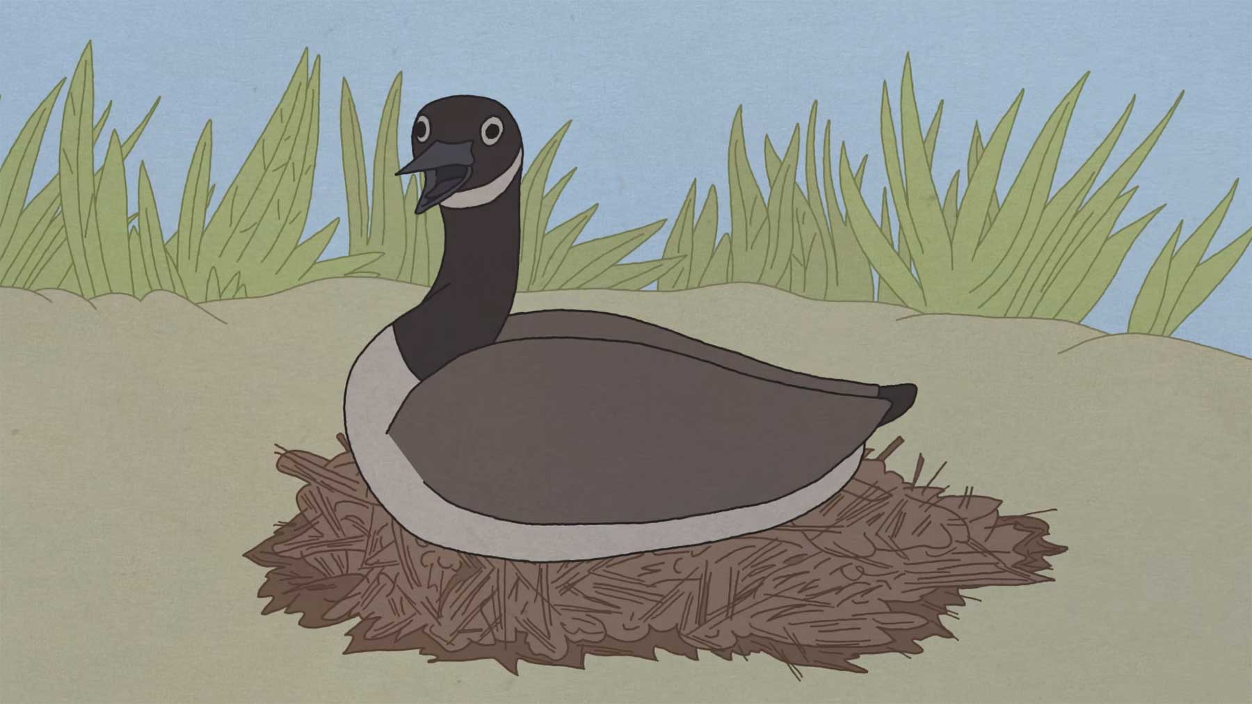 Animierter Kurzfilm: „Hudson Geese“