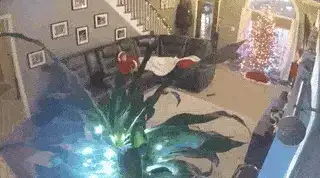 GIFparade XIII Gifparade-013_12 