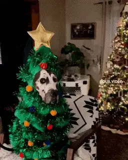 GIFparade XIII Gifparade-013_15 