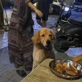 GIFparade XIII Gifparade-013_17 