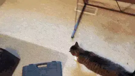 GIFparade XIII Gifparade-013_18 