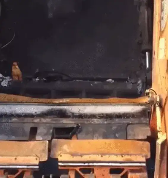 GIFparade XIII Gifparade-013_29 