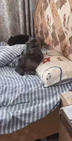 GIFparade XIII Gifparade-013_36 