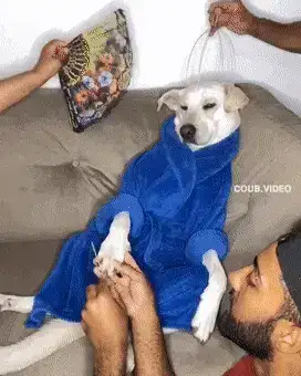 GIFparade XIV Gifparade-014_13 