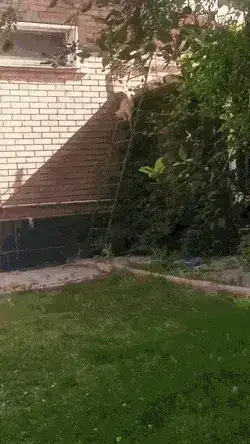 GIFparade XIV Gifparade-014_16 