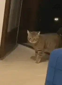 GIFparade XIV Gifparade-014_25 