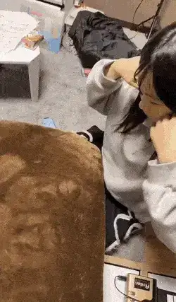 GIFparade XIV Gifparade-014_31 