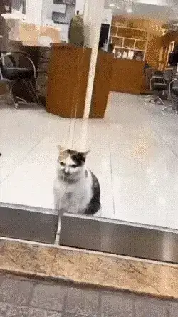 GIFparade XV Gifparade-015_20 