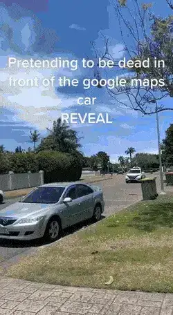 GIFparade XV Gifparade-015_26 