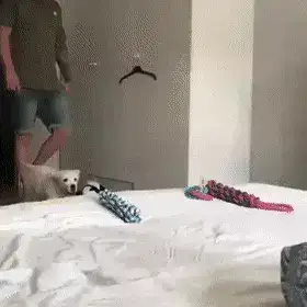 GIFparade XV Gifparade-015_28 