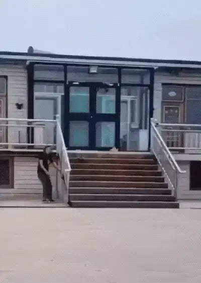 GIFparade XVI Gifparade-016_18 