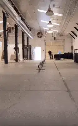 GIFparade XVI Gifparade-016_19 