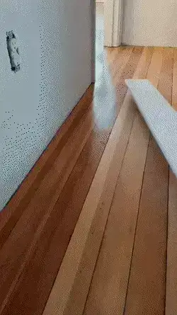 GIFparade XVI Gifparade-016_27 