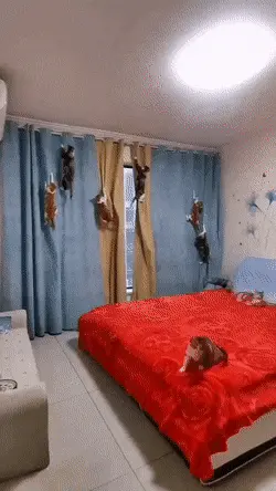 GIFparade XVII Gifparade-017_18 