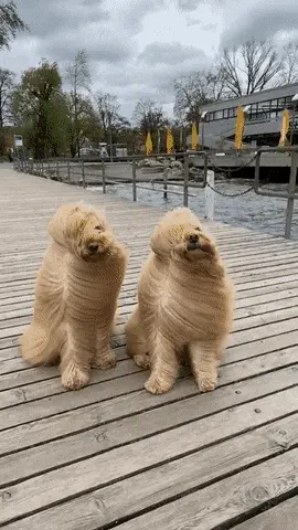 GIFparade XVII Gifparade-017_19 