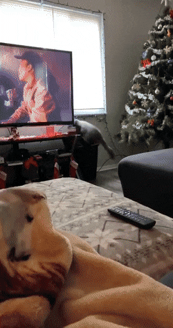 GIFparade XVIII Gifparade-018_12 