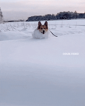 GIFparade XVIII Gifparade-018_14 