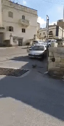 GIFparade XVIII Gifparade-018_25 