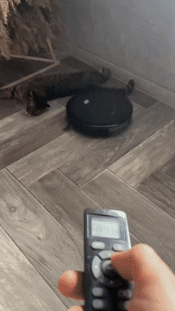 GIFparade XVIII Gifparade-018_30 