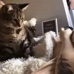 GIFparade XIX Gifparade-019_13 