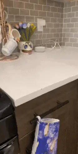 GIFparade XIX Gifparade-019_25 