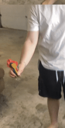 GIFparade XIX Gifparade-019_28 