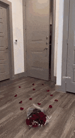 GIFparade XIX Gifparade-019_30 