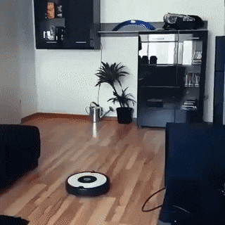 GIFparade XIX Gifparade-019_31 