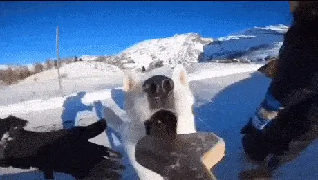 GIFparade XXII Gifparade-022_13 