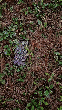 GIFparade XXII Gifparade-022_16 