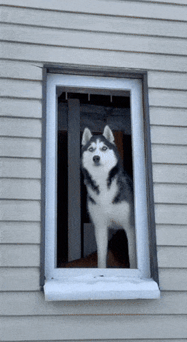 GIFparade XXII Gifparade-022_20 