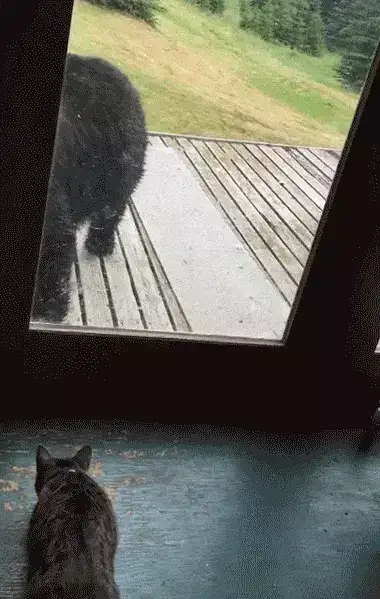 GIFparade XXVI Gifparade-026_27 