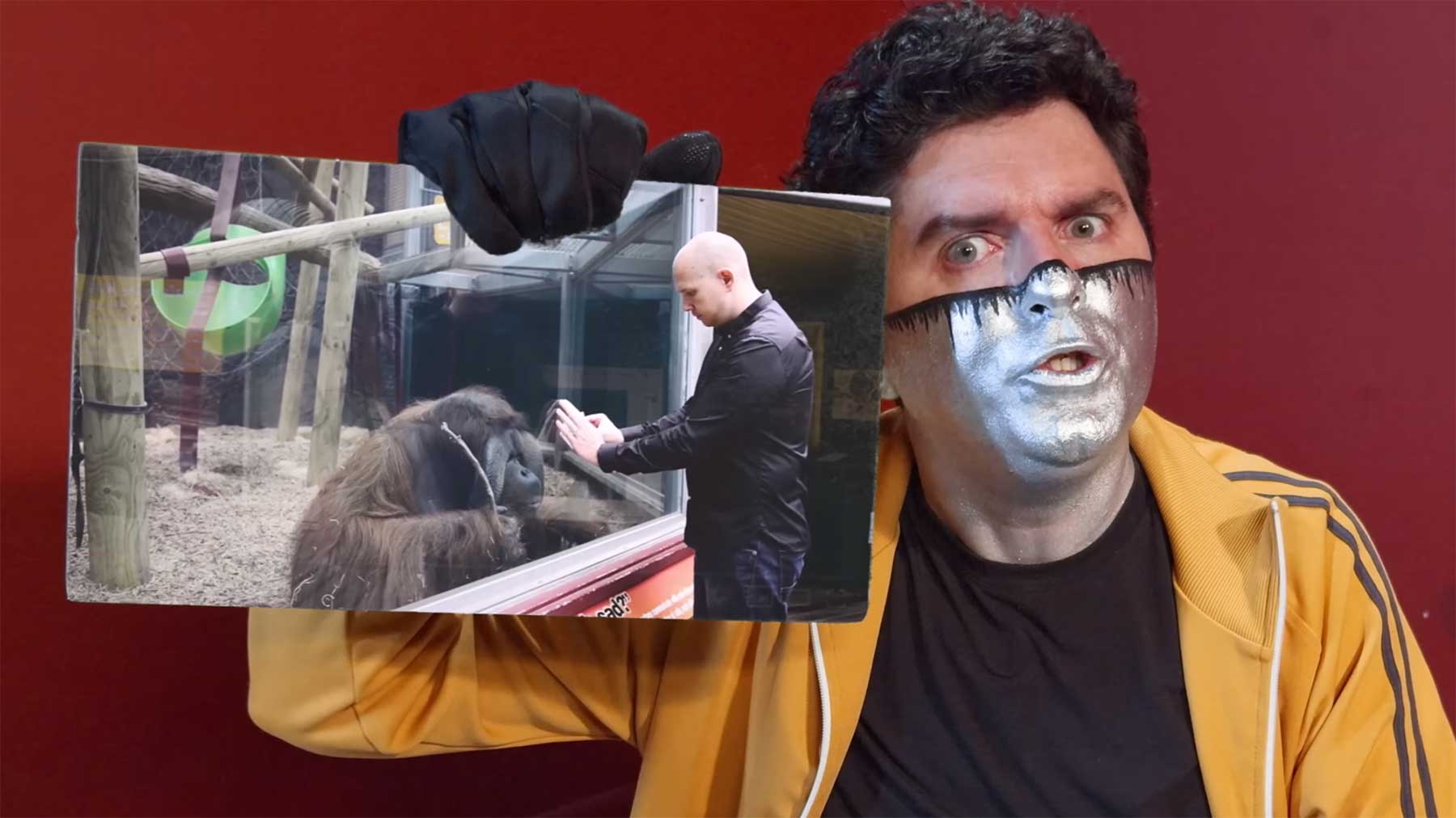 Captain Disillusion erklärt den Orang-Utan-Kartentrick Captain-Disillusion-orang-utan-kartentrick-zoo-erklaerung 