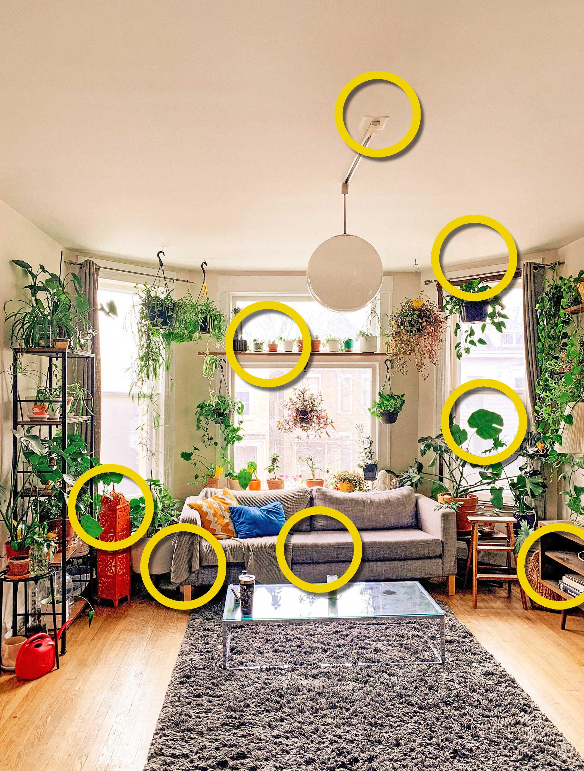 FehlerFindFreitag Nr. 115 FFF-115_LOESUNG 