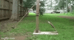 GIFparade XXXI Gifparade-031_12 