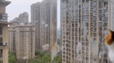 GIFparade XXXI Gifparade-031_18 