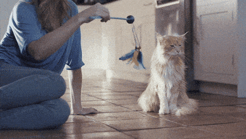 GIFparade XXXI Gifparade-031_22 