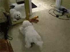 GIFparade XXXIV Gifparade-034_20 