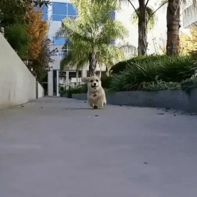 GIFparade XXXIV Gifparade-034_27 