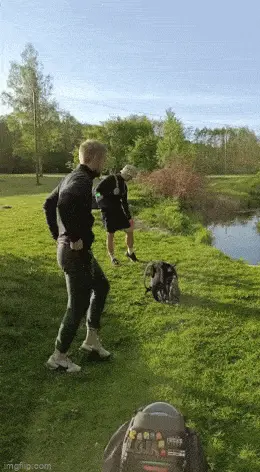 GIFparade XXXIV Gifparade-034_36 